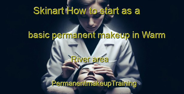 Skinart How to start as a basic permanent makeup in Warm River area | PermanentmakeupTraining | PermanentmakeupClasses | SkinartTraining-United States