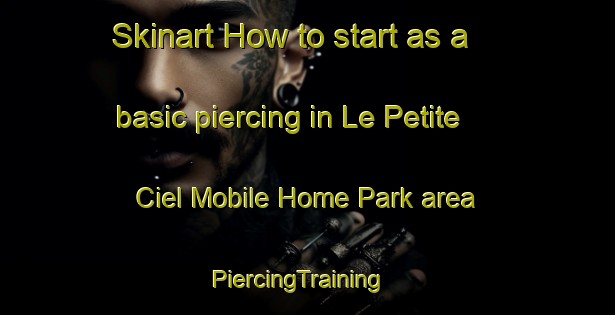 Skinart How to start as a basic piercing in Le Petite Ciel Mobile Home Park area | PiercingTraining | PiercingClasses | SkinartTraining-United States