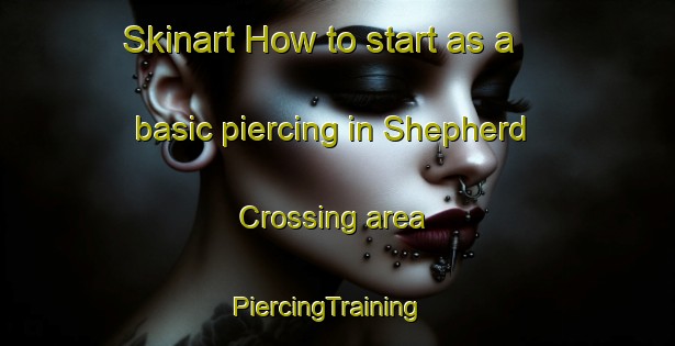 Skinart How to start as a basic piercing in Shepherd Crossing area | PiercingTraining | PiercingClasses | SkinartTraining-United States