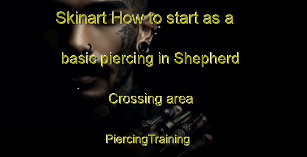 Skinart How to start as a basic piercing in Shepherd Crossing area | PiercingTraining | PiercingClasses | SkinartTraining-United States