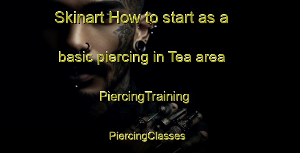 Skinart How to start as a basic piercing in Tea area | PiercingTraining | PiercingClasses | SkinartTraining-United States