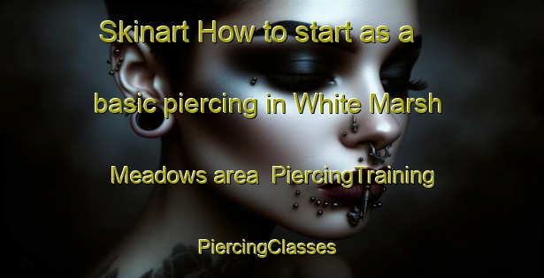 Skinart How to start as a basic piercing in White Marsh Meadows area | PiercingTraining | PiercingClasses | SkinartTraining-United States