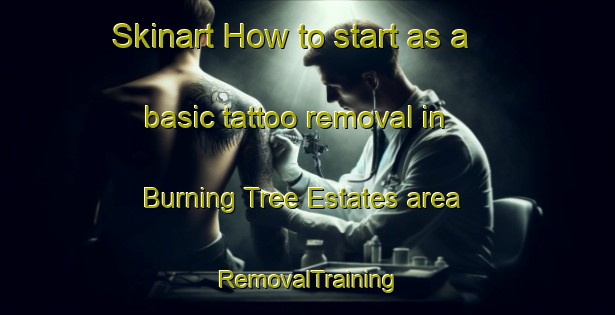Skinart How to start as a basic tattoo removal in Burning Tree Estates area | RemovalTraining | RemovalClasses | SkinartTraining-United States
