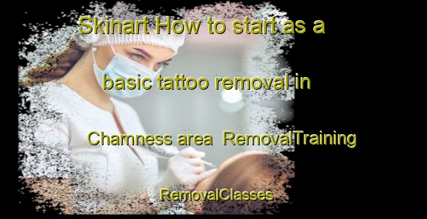 Skinart How to start as a basic tattoo removal in Chamness area | RemovalTraining | RemovalClasses | SkinartTraining-United States
