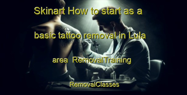 Skinart How to start as a basic tattoo removal in Lula area | RemovalTraining | RemovalClasses | SkinartTraining-United States