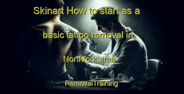 Skinart How to start as a basic tattoo removal in Northfork area | RemovalTraining | RemovalClasses | SkinartTraining-United States