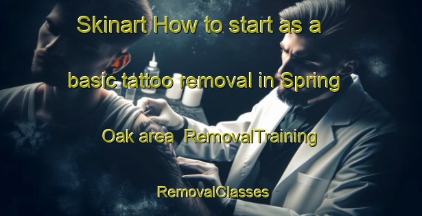 Skinart How to start as a basic tattoo removal in Spring Oak area | RemovalTraining | RemovalClasses | SkinartTraining-United States