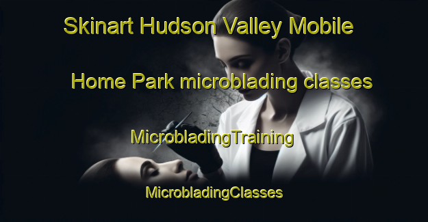 Skinart Hudson Valley Mobile Home Park microblading classes | #MicrobladingTraining #MicrobladingClasses #SkinartTraining-United States