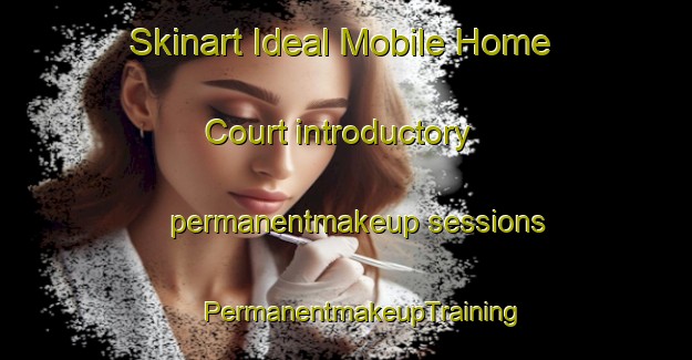 Skinart Ideal Mobile Home Court introductory permanentmakeup sessions | #PermanentmakeupTraining #PermanentmakeupClasses #SkinartTraining-United States