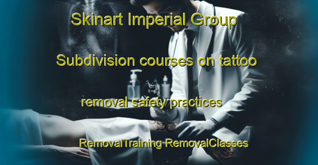 Skinart Imperial Group Subdivision courses on tattoo removal safety practices | #RemovalTraining #RemovalClasses #SkinartTraining-United States