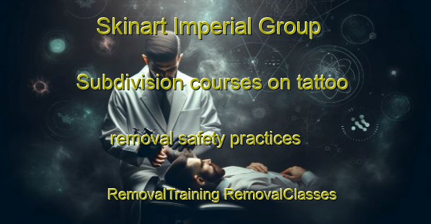 Skinart Imperial Group Subdivision courses on tattoo removal safety practices | #RemovalTraining #RemovalClasses #SkinartTraining-United States