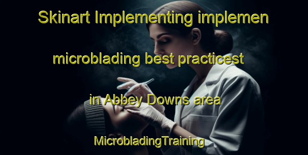 Skinart Implementing implemen microblading best practicest in Abbey Downs area | MicrobladingTraining | MicrobladingClasses | SkinartTraining-United States
