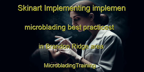 Skinart Implementing implemen microblading best practicest in Brandon Ridge area | MicrobladingTraining | MicrobladingClasses | SkinartTraining-United States