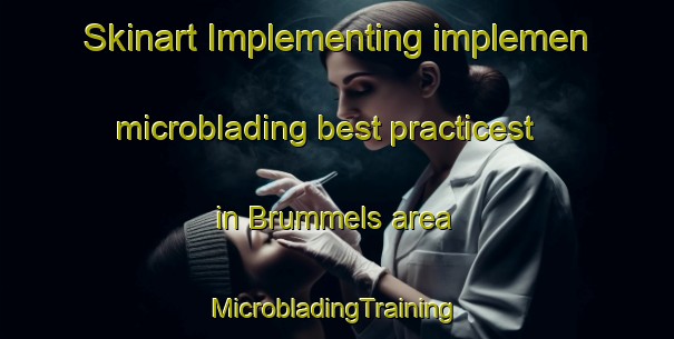 Skinart Implementing implemen microblading best practicest in Brummels area | #MicrobladingTraining #MicrobladingClasses #SkinartTraining-United States