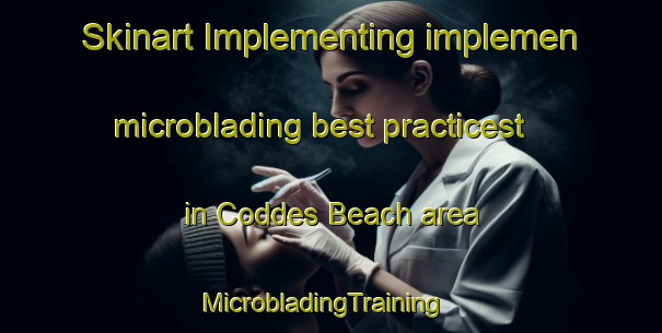 Skinart Implementing implemen microblading best practicest in Coddes Beach area | MicrobladingTraining | MicrobladingClasses | SkinartTraining-United States