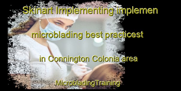 Skinart Implementing implemen microblading best practicest in Connington Colonia area | MicrobladingTraining | MicrobladingClasses | SkinartTraining-United States