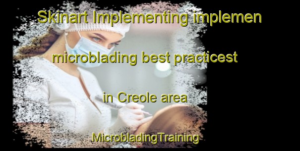 Skinart Implementing implemen microblading best practicest in Creole area | MicrobladingTraining | MicrobladingClasses | SkinartTraining-United States