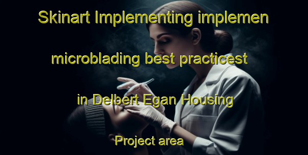 Skinart Implementing implemen microblading best practicest in Delbert Egan Housing Project area | MicrobladingTraining | MicrobladingClasses | SkinartTraining-United States