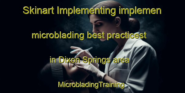 Skinart Implementing implemen microblading best practicest in Dixon Springs area | #MicrobladingTraining #MicrobladingClasses #SkinartTraining-United States