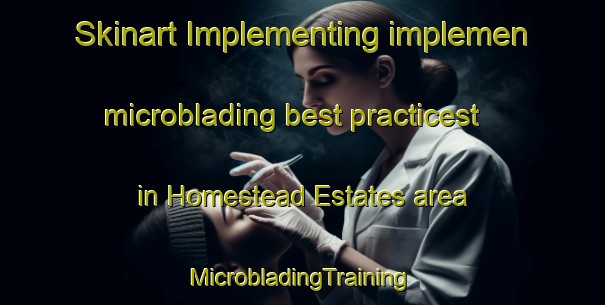 Skinart Implementing implemen microblading best practicest in Homestead Estates area | #MicrobladingTraining #MicrobladingClasses #SkinartTraining-United States