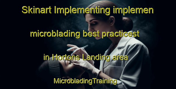 Skinart Implementing implemen microblading best practicest in Hortons Landing area | MicrobladingTraining | MicrobladingClasses | SkinartTraining-United States
