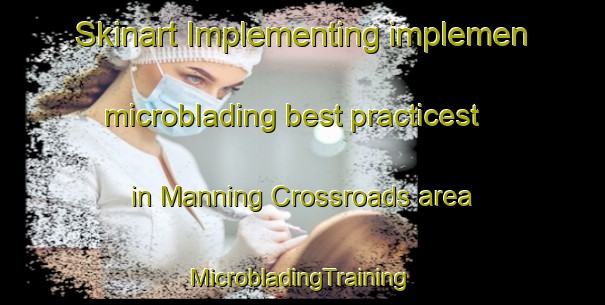 Skinart Implementing implemen microblading best practicest in Manning Crossroads area | #MicrobladingTraining #MicrobladingClasses #SkinartTraining-United States