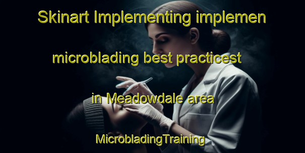 Skinart Implementing implemen microblading best practicest in Meadowdale area | #MicrobladingTraining #MicrobladingClasses #SkinartTraining-United States