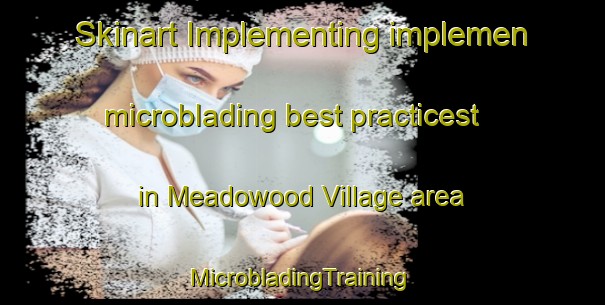 Skinart Implementing implemen microblading best practicest in Meadowood Village area | #MicrobladingTraining #MicrobladingClasses #SkinartTraining-United States