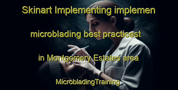 Skinart Implementing implemen microblading best practicest in Montgomery Estates area | #MicrobladingTraining #MicrobladingClasses #SkinartTraining-United States