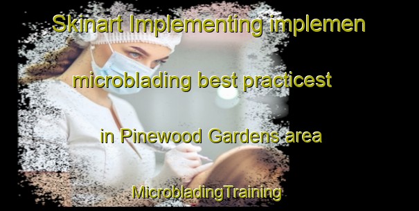 Skinart Implementing implemen microblading best practicest in Pinewood Gardens area | #MicrobladingTraining #MicrobladingClasses #SkinartTraining-United States