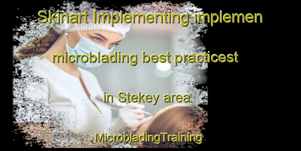 Skinart Implementing implemen microblading best practicest in Stekey area | #MicrobladingTraining #MicrobladingClasses #SkinartTraining-United States