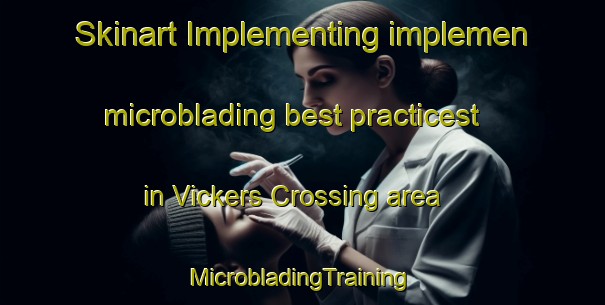 Skinart Implementing implemen microblading best practicest in Vickers Crossing area | #MicrobladingTraining #MicrobladingClasses #SkinartTraining-United States