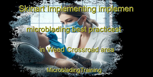 Skinart Implementing implemen microblading best practicest in Weed Crossroad area | MicrobladingTraining | MicrobladingClasses | SkinartTraining-United States