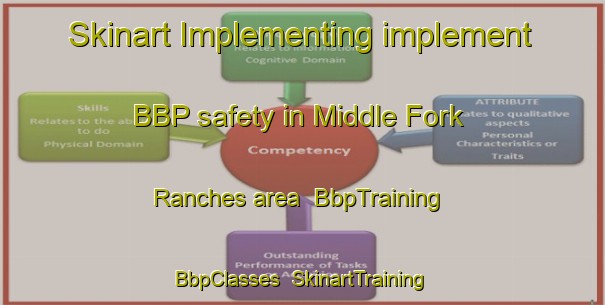 Skinart Implementing implement BBP safety in Middle Fork Ranches area | BbpTraining | BbpClasses | SkinartTraining-United States