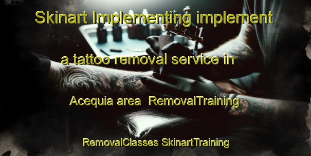 Skinart Implementing implement a tattoo removal service in Acequia area | #RemovalTraining #RemovalClasses #SkinartTraining-United States