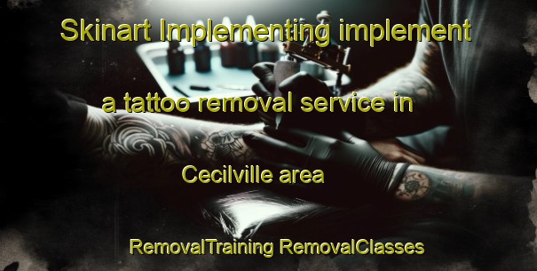 Skinart Implementing implement a tattoo removal service in Cecilville area | #RemovalTraining #RemovalClasses #SkinartTraining-United States