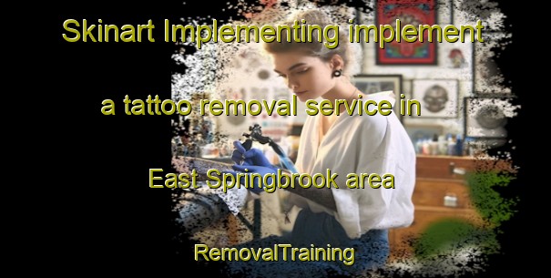 Skinart Implementing implement a tattoo removal service in East Springbrook area | RemovalTraining | RemovalClasses | SkinartTraining-United States