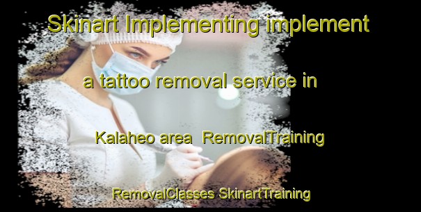 Skinart Implementing implement a tattoo removal service in Kalaheo area | #RemovalTraining #RemovalClasses #SkinartTraining-United States