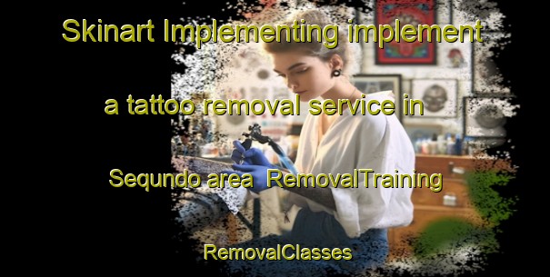 Skinart Implementing implement a tattoo removal service in Sequndo area | RemovalTraining | RemovalClasses | SkinartTraining-United States