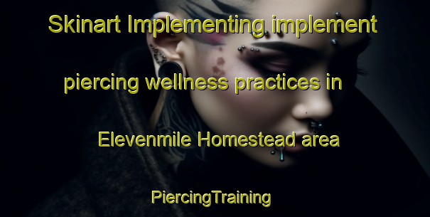 Skinart Implementing implement piercing wellness practices in Elevenmile Homestead area | #PiercingTraining #PiercingClasses #SkinartTraining-United States