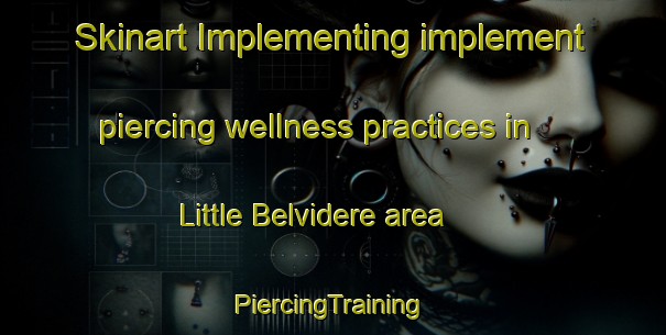 Skinart Implementing implement piercing wellness practices in Little Belvidere area | #PiercingTraining #PiercingClasses #SkinartTraining-United States