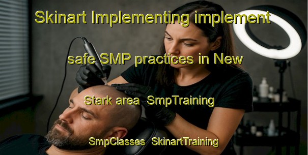 Skinart Implementing implement safe SMP practices in New Stark area | SmpTraining | SmpClasses | SkinartTraining-United States