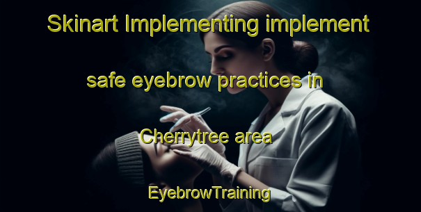 Skinart Implementing implement safe eyebrow practices in Cherrytree area | EyebrowTraining | EyebrowClasses | SkinartTraining-United States