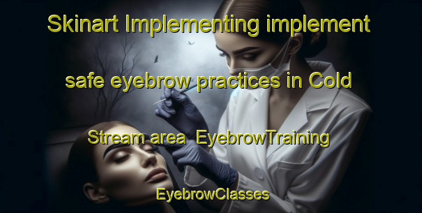 Skinart Implementing implement safe eyebrow practices in Cold Stream area | EyebrowTraining | EyebrowClasses | SkinartTraining-United States