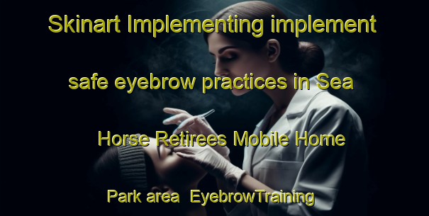 Skinart Implementing implement safe eyebrow practices in Sea Horse Retirees Mobile Home Park area | EyebrowTraining | EyebrowClasses | SkinartTraining-United States