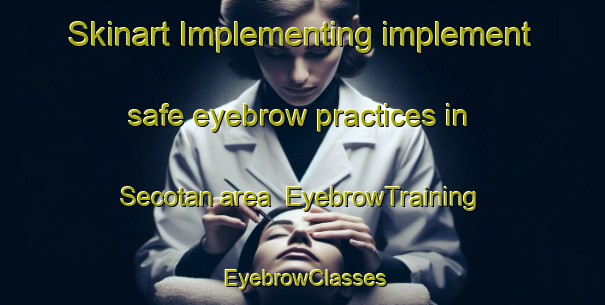 Skinart Implementing implement safe eyebrow practices in Secotan area | EyebrowTraining | EyebrowClasses | SkinartTraining-United States