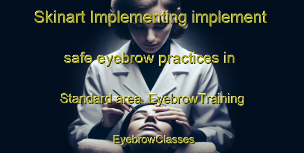 Skinart Implementing implement safe eyebrow practices in Standard area | EyebrowTraining | EyebrowClasses | SkinartTraining-United States