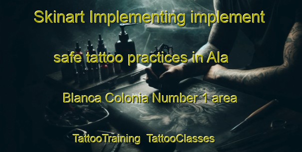 Skinart Implementing implement safe tattoo practices in Ala Blanca Colonia Number 1 area | TattooTraining | TattooClasses | SkinartTraining-United States