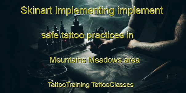 Skinart Implementing implement safe tattoo practices in Mountains Meadows area | #TattooTraining #TattooClasses #SkinartTraining-United States