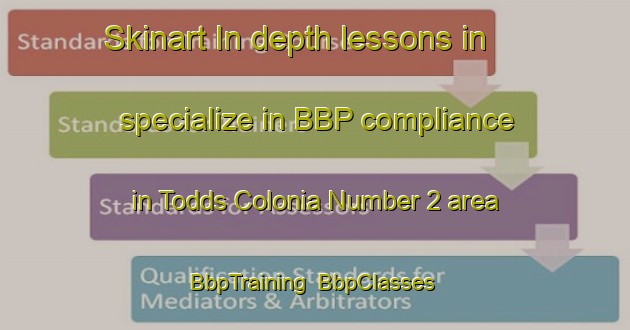 Skinart In-depth lessons in specialize in BBP compliance in Todds Colonia Number 2 area | BbpTraining | BbpClasses | SkinartTraining-United States